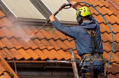 Démoussage et hydrofuge de toiture à Dolcourt